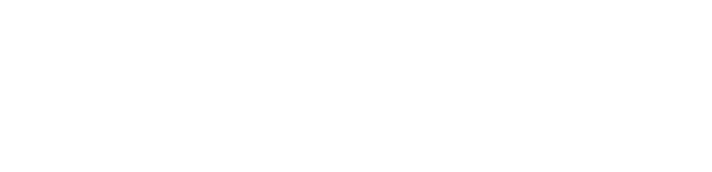 Control P Informática